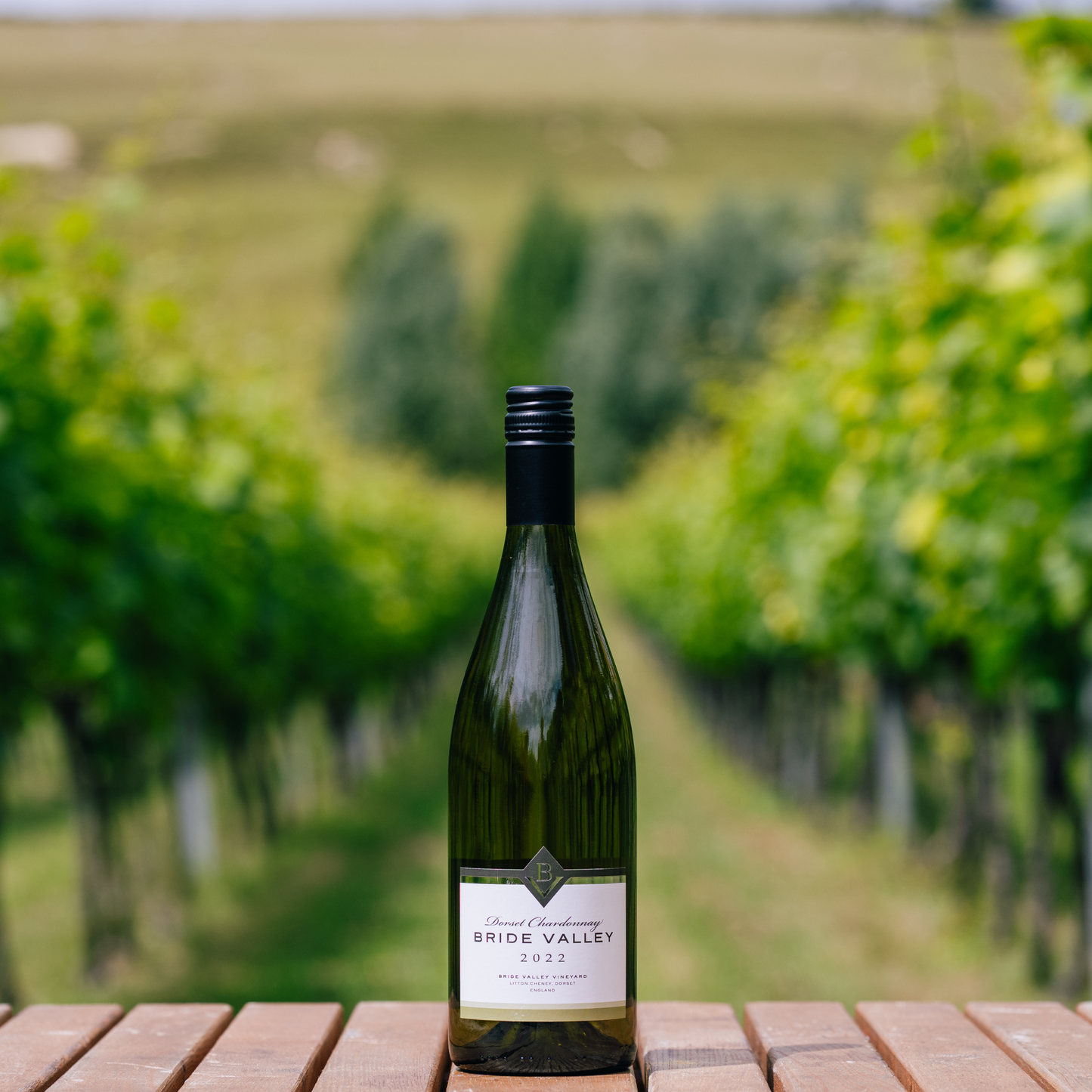 Dorset Chardonnay 2022, Bride Valley Wines, Dorset, England
