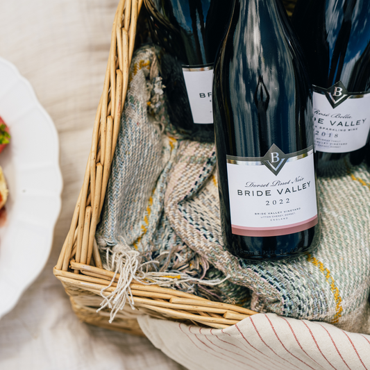 Pinot Noir 2022, Bride Valley Wines, Dorset, England