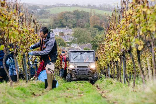 Behind the Vines: How We’re Prepping for the Season Ahead