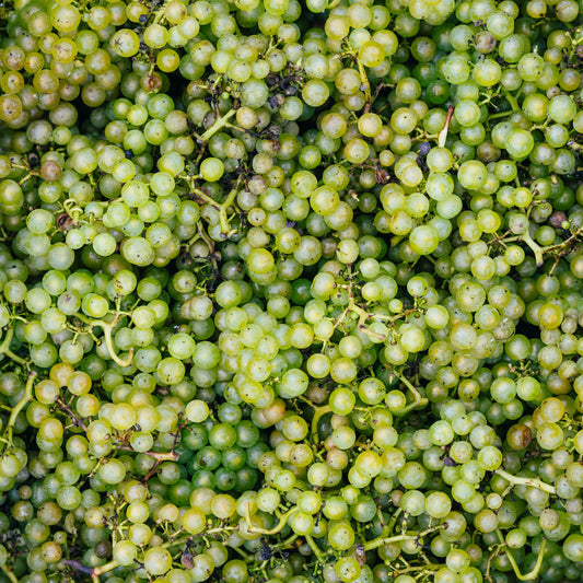 Bride Valley Vineyard Tour Gift Card for 2