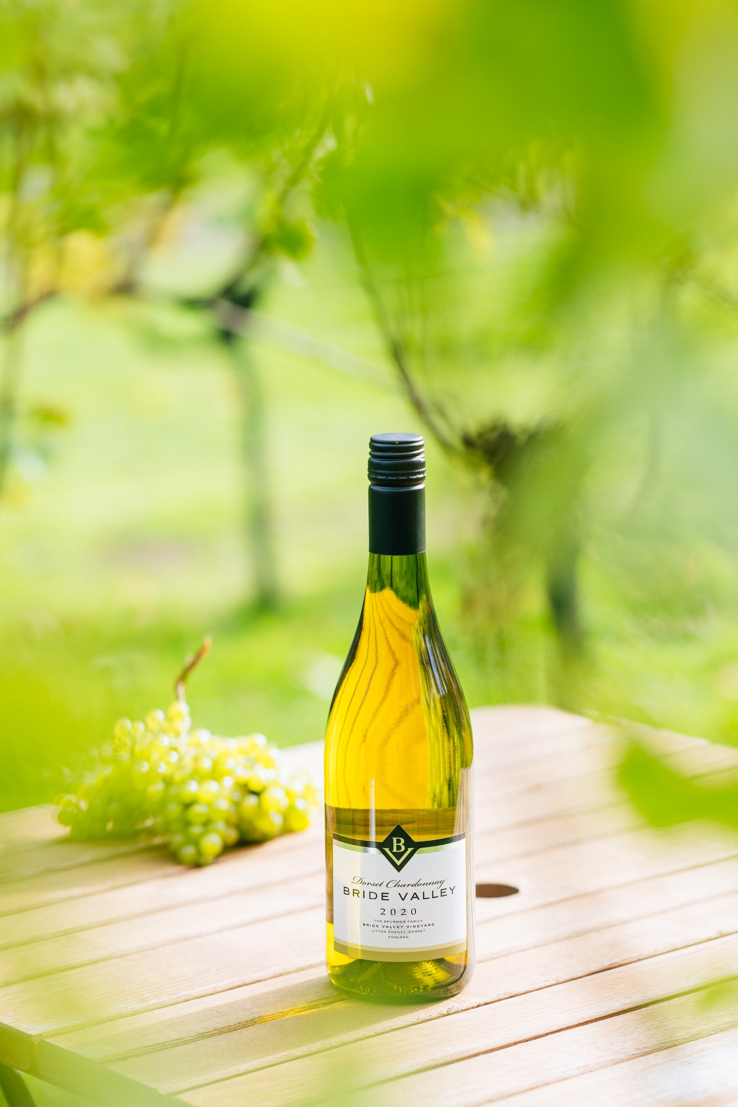 Bride Valley Dorset Chardonnay 2022 & Black Gift Box