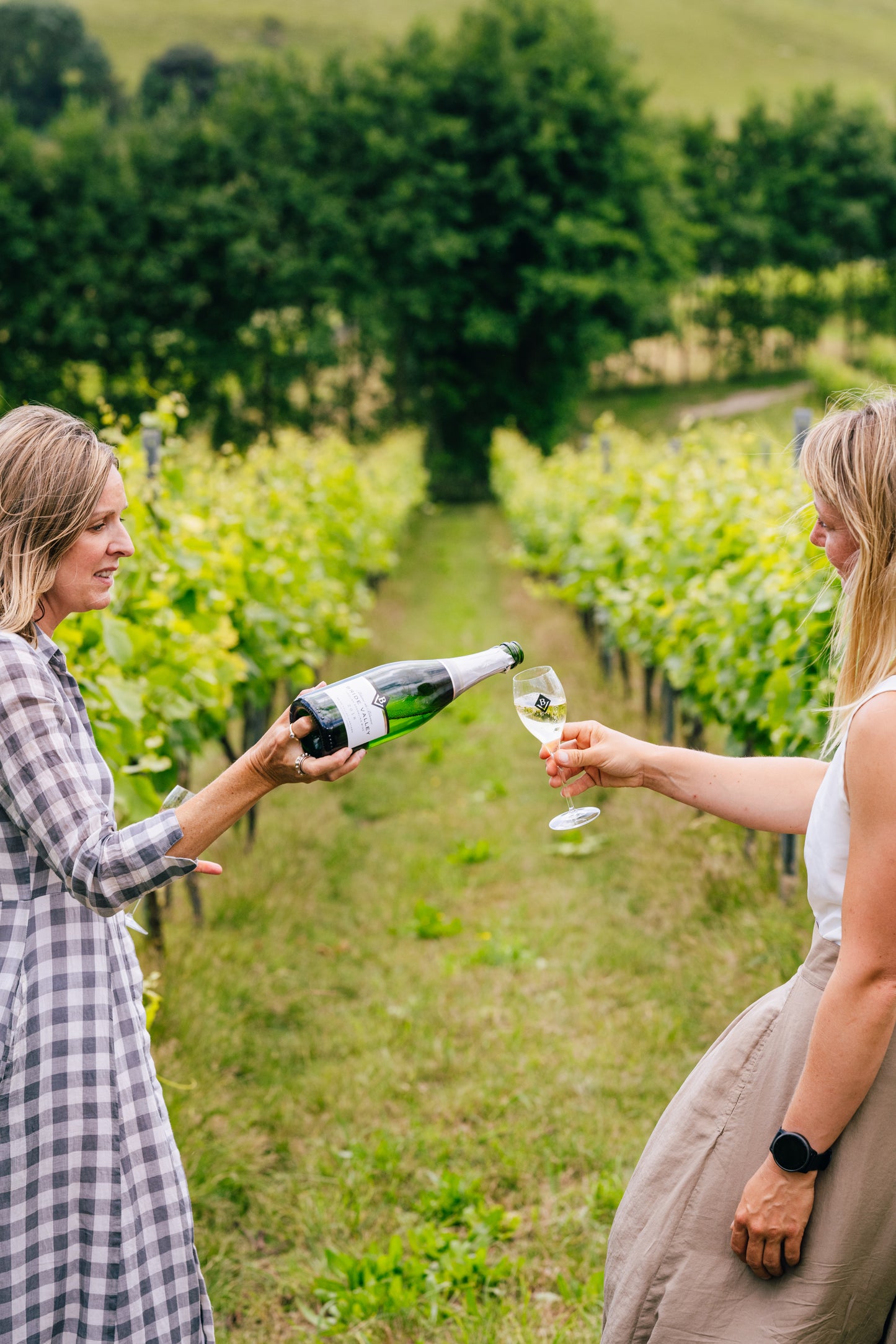 Bride Valley Vineyard Tour Giftcard for 1
