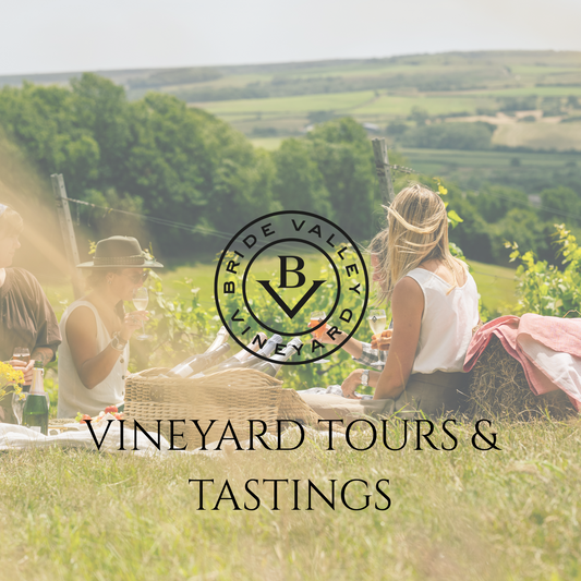 Bride Valley Vineyard Tour & Tasting