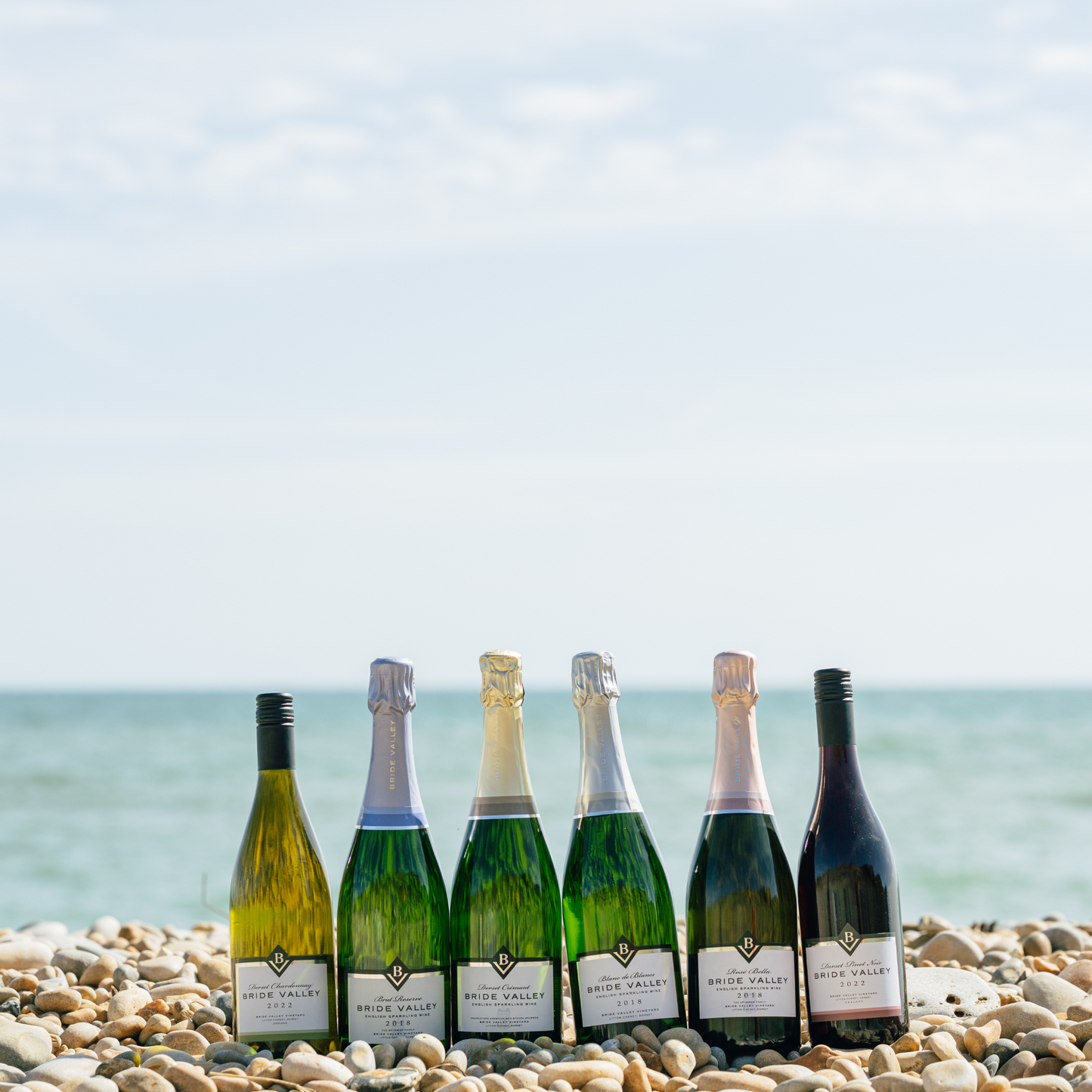 Bride Valley Wines Taster Case