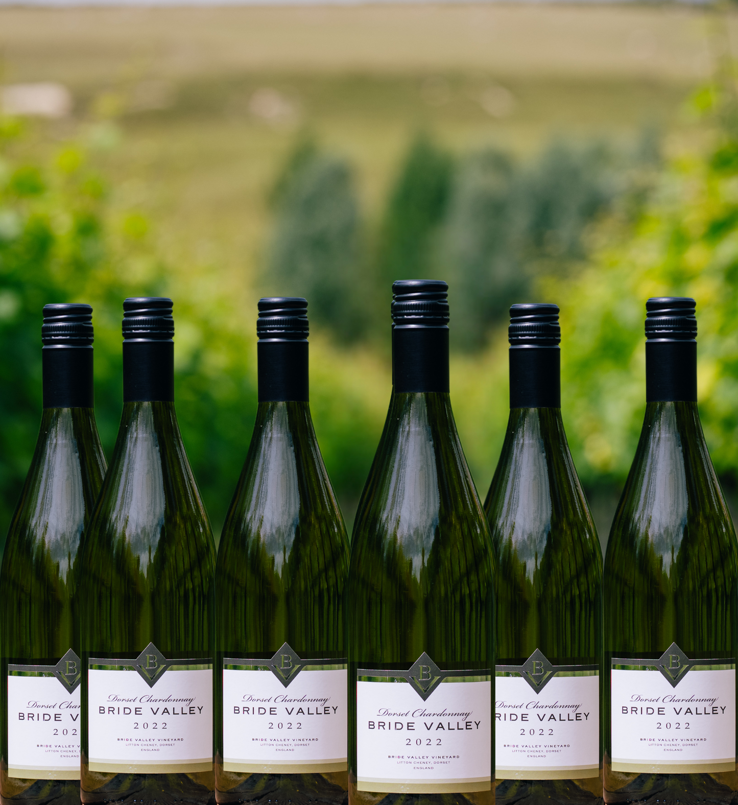Dorset Chardonnay 2022 Case of 6