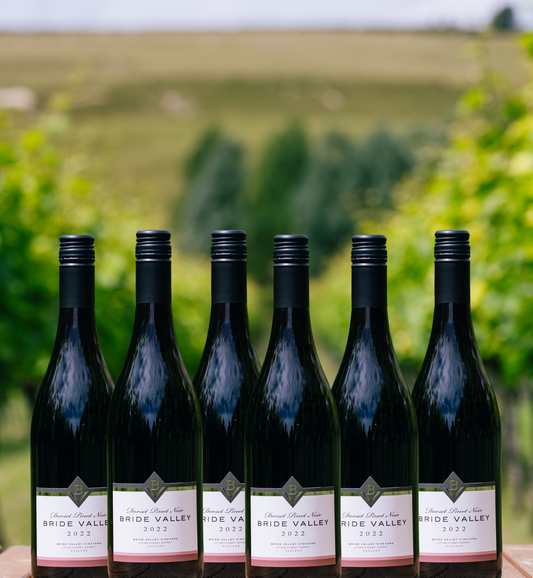 Case of 6 - Pinot Noir 2022, Bride Valley Wines, Dorset, England
