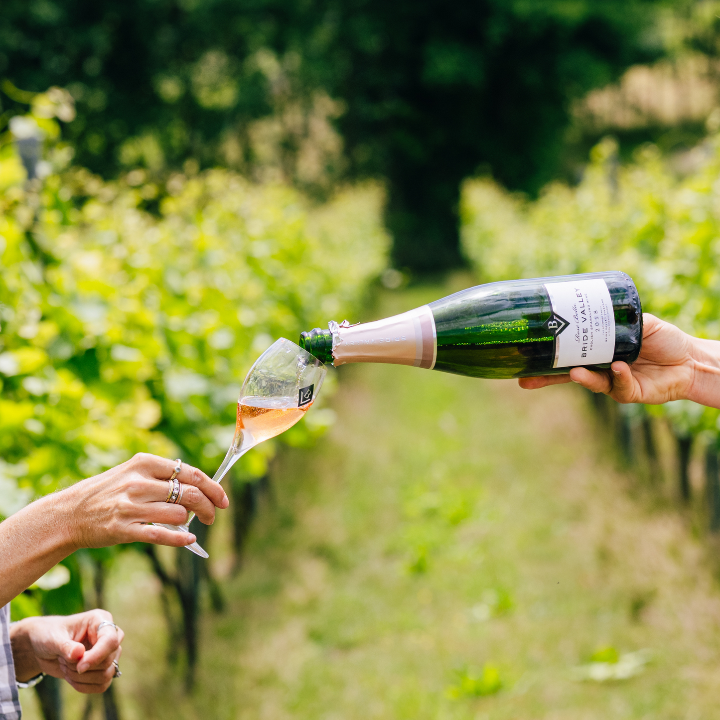 Bride Valley Bella Rosé 2018 & Wooden Gift Box