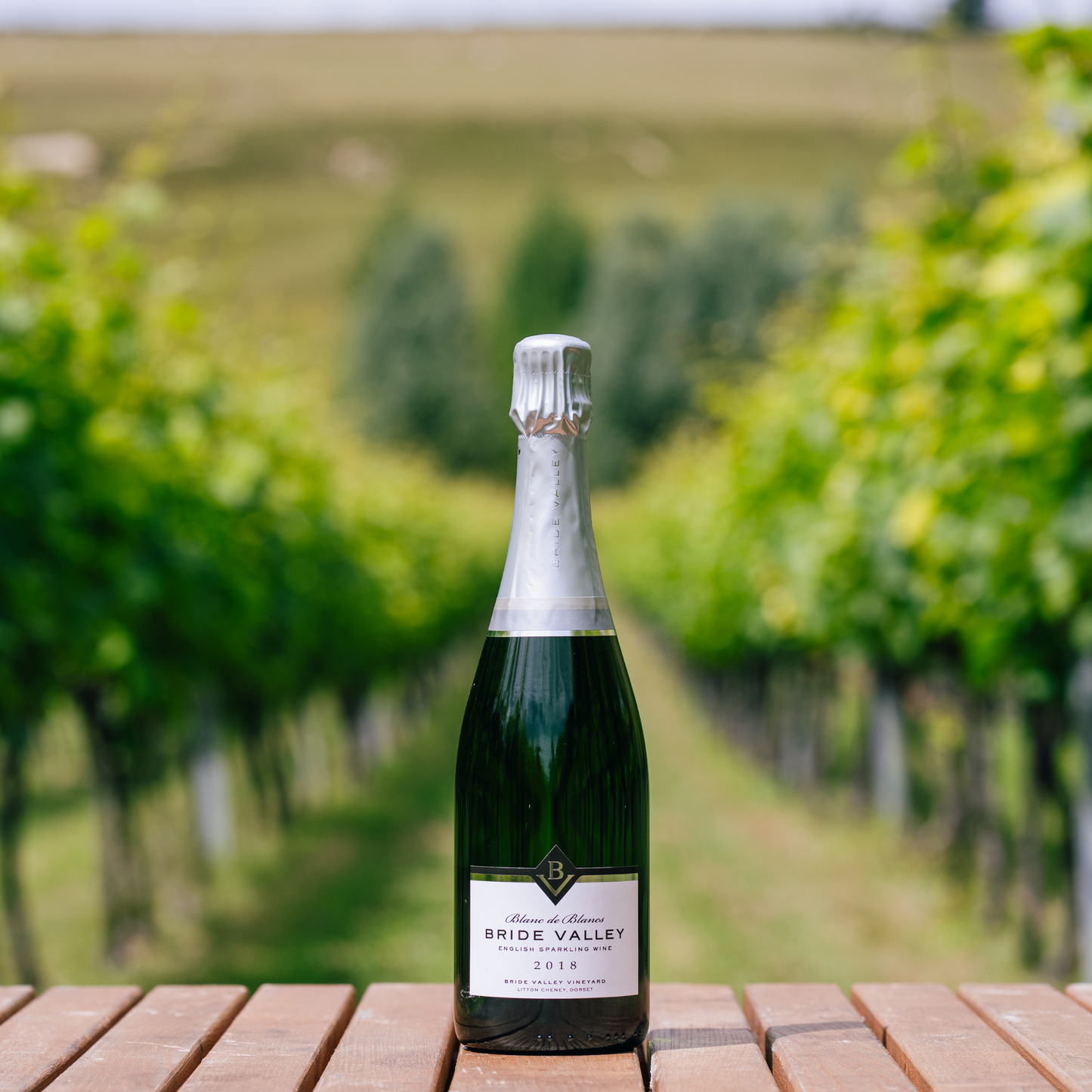 Blanc de Blancs 2018, Bride Valley Wines, Dorset, England