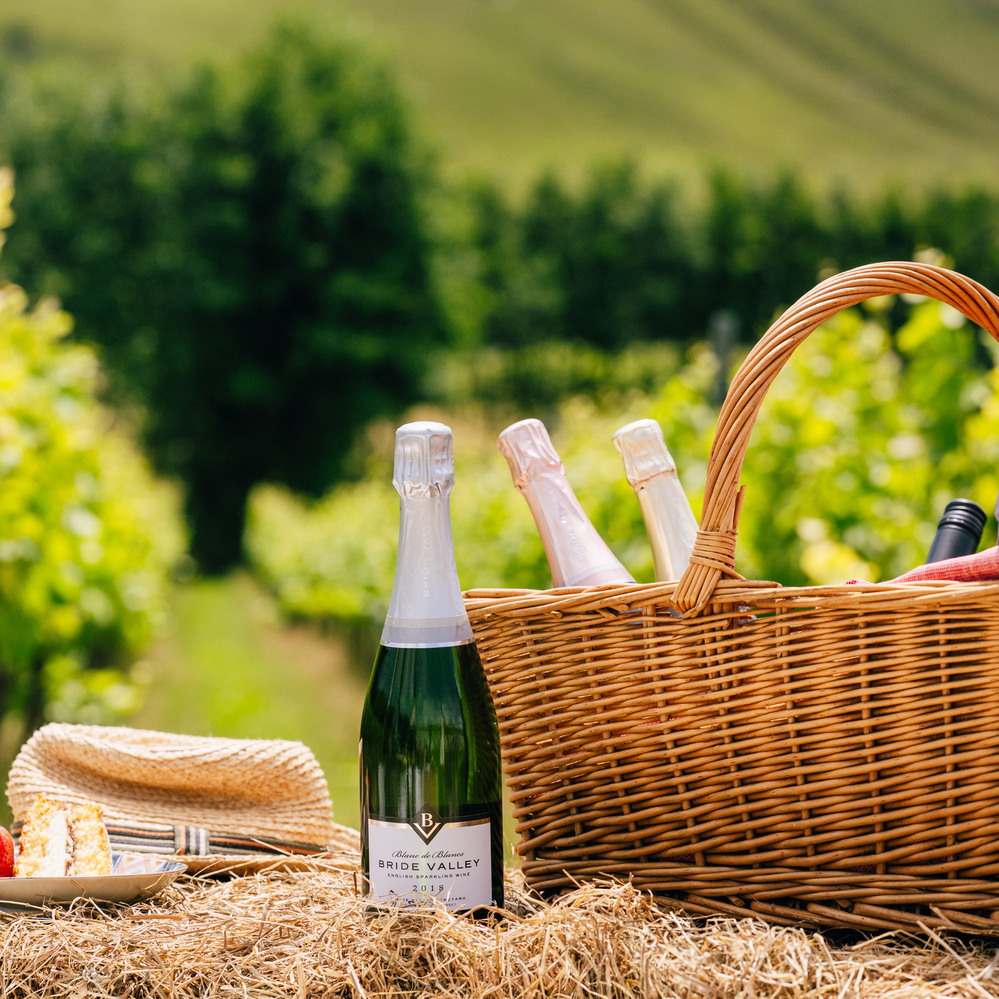 Blanc de Blancs 2018, Bride Valley Wines, Dorset, England