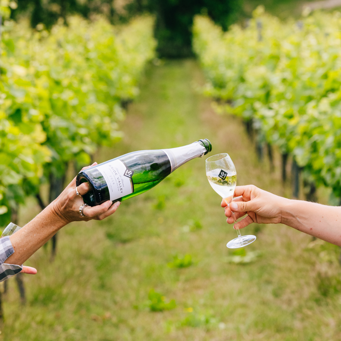 Blanc de Blancs 2018, Bride Valley Wines, Dorset, England