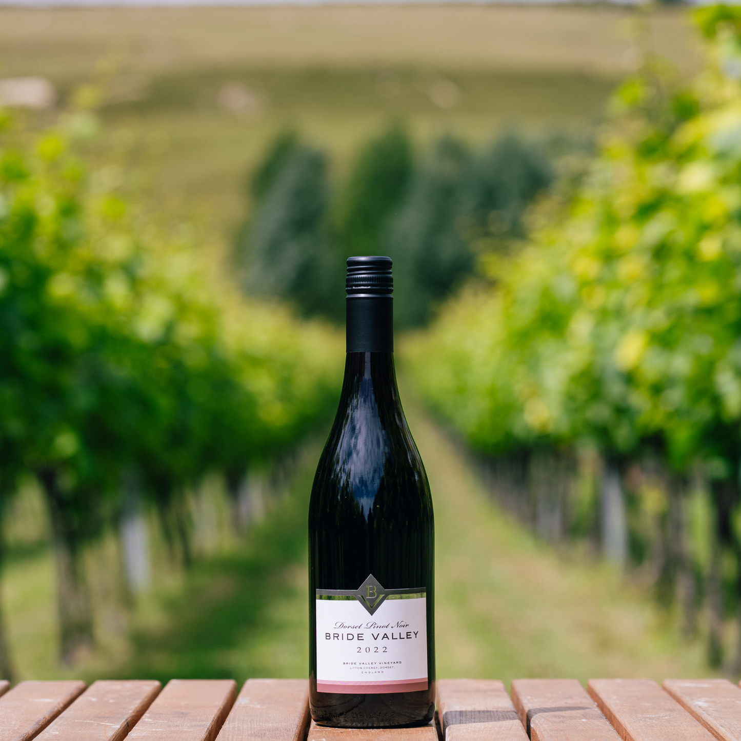 Case of 6 - Pinot Noir 2022, Bride Valley Wines, Dorset, England