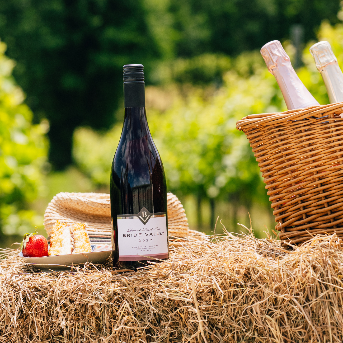 Case of 6 - Pinot Noir 2022, Bride Valley Wines, Dorset, England