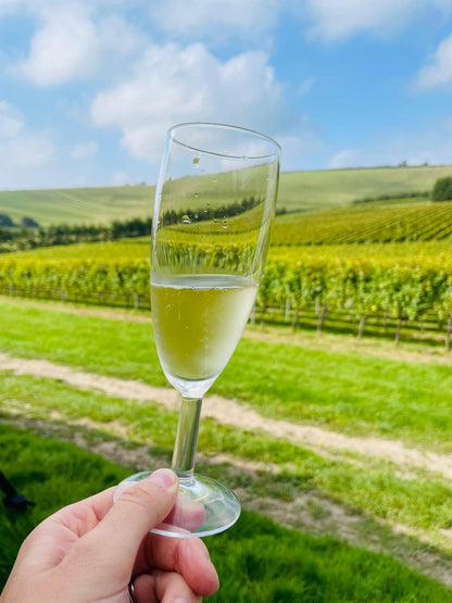 Bride Valley Vineyard Tour & Tasting