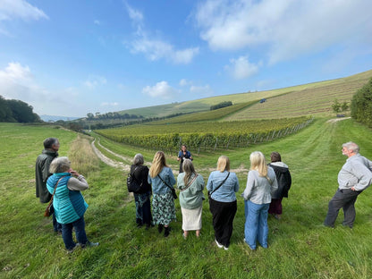 Bride Valley Vineyard Tour & Tasting