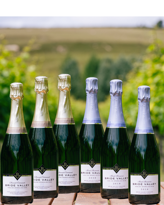 Bride Valley Brut Reserve 2018 & Cremant NV Mixed Case