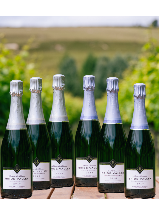 Bride Valley Blanc de Blancs 2018 and Brut Reserve 2018