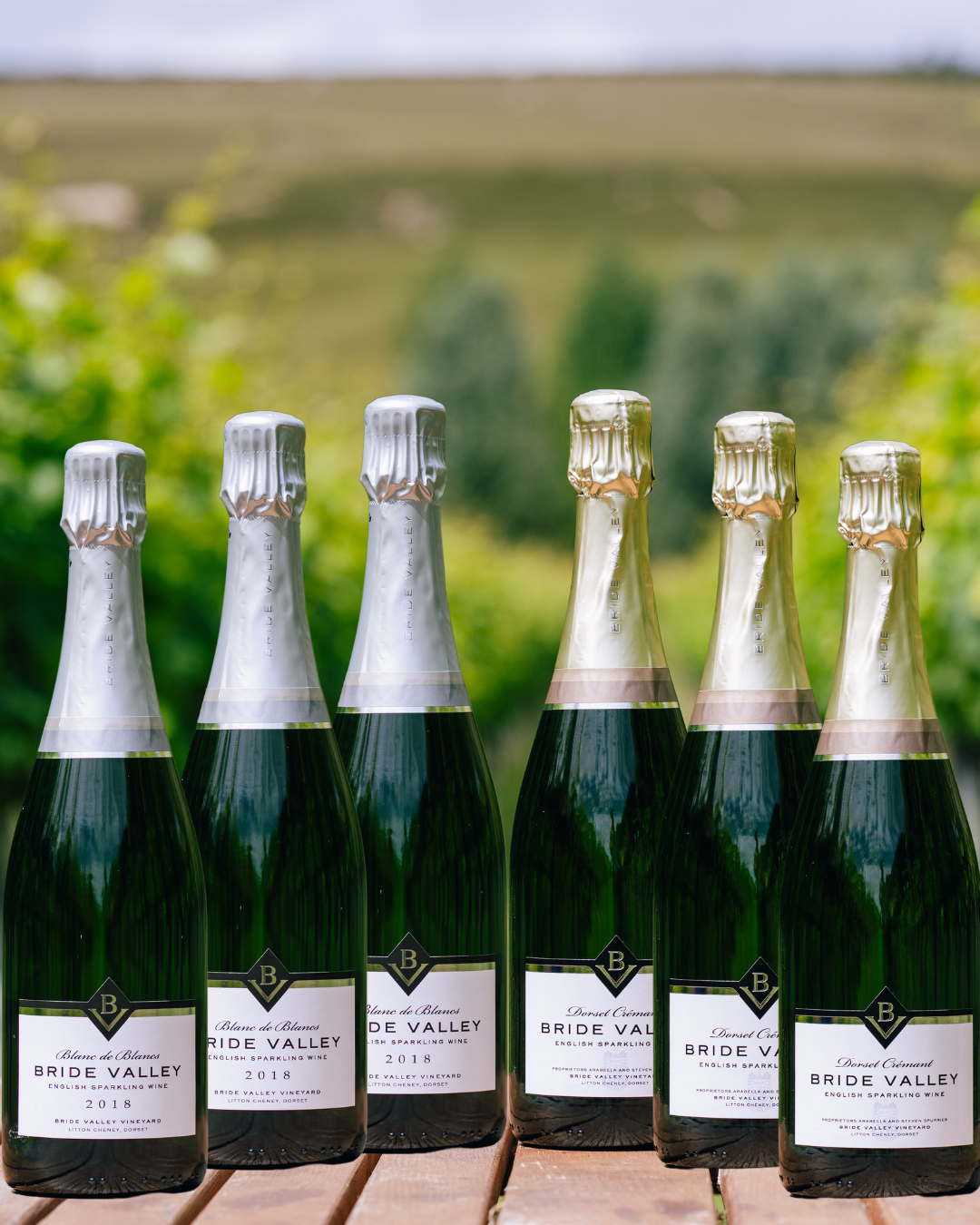 Bride Valley Cremant & Blanc de Blancs Mixed Case