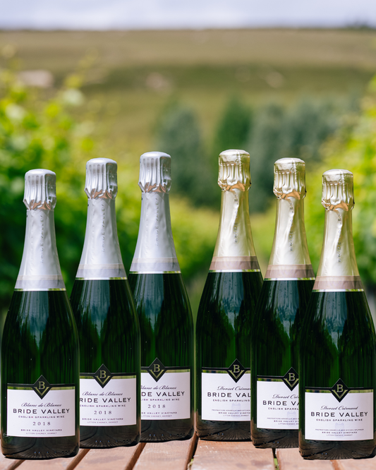 Bride Valley Cremant & Blanc de Blancs Mixed Case
