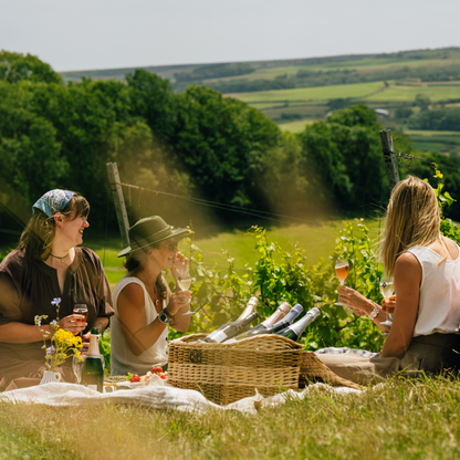 Picnic in the Vineyard; An afternoon with the Spurrier family