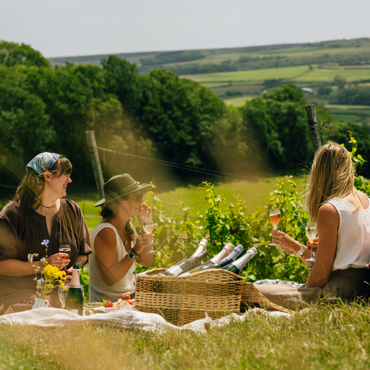 Picnic in the Vineyard; An afternoon with the Spurrier family