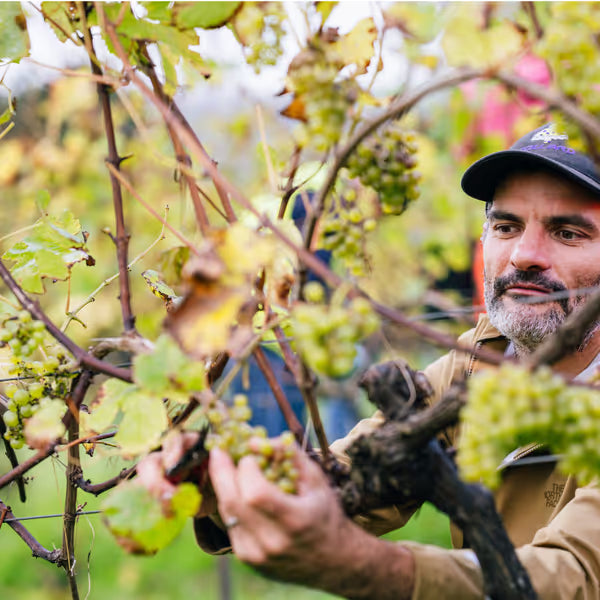 Bride Valley Blanc de Blancs 2018 & Brut Reserve 2018 Gift Presentation